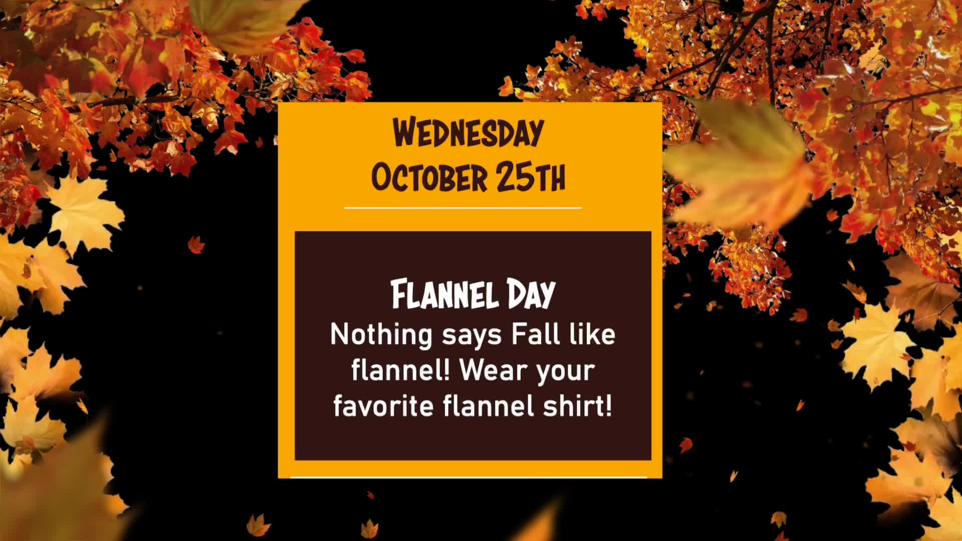 Thumbnail image for Fall Festival 2023