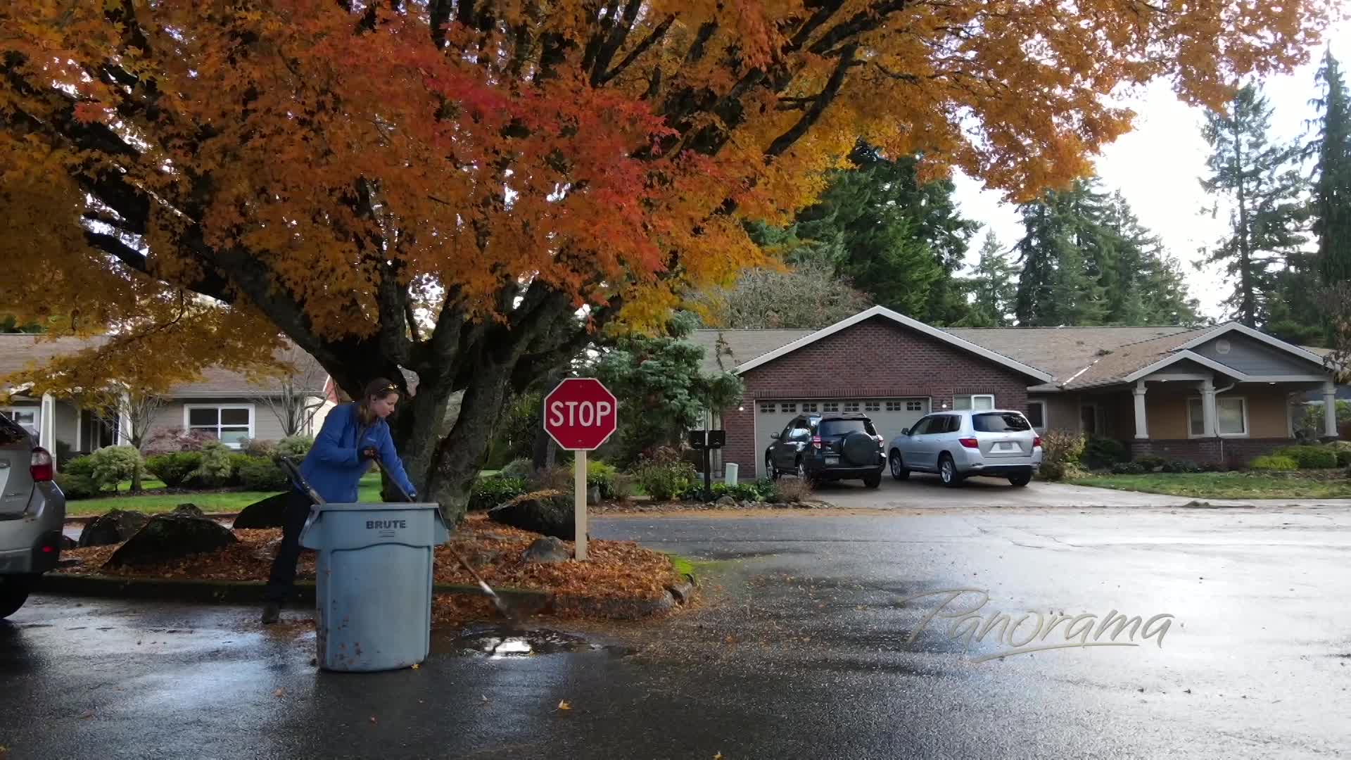 Thumbnail image for Fall Grounds Cleanup 2023