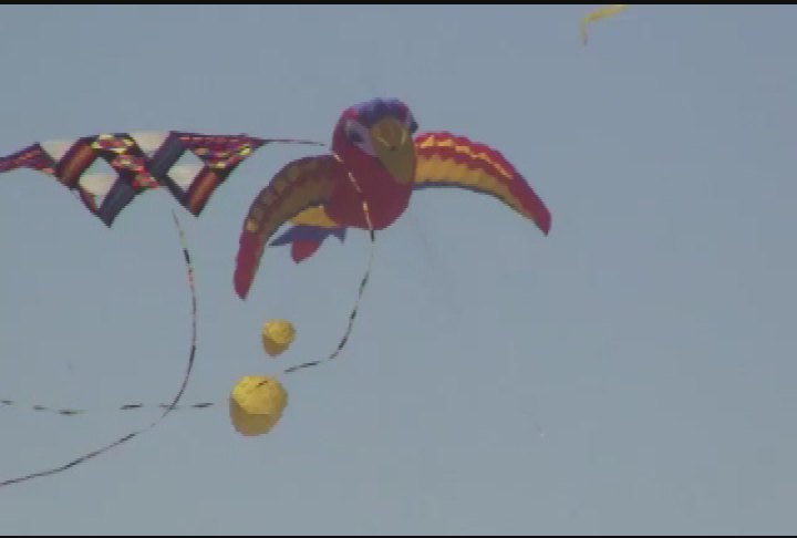Thumbnail image for A Festival of Colors with Kites