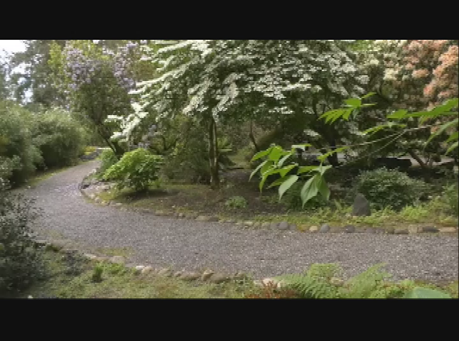 Thumbnail image for My Favorite Places - Lakewold Gardens