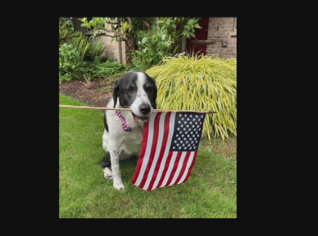 Thumbnail image for In My Eyes 2020:  Patriotic