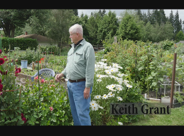 Thumbnail image for Pea Patch Gardeners: Keith Grant