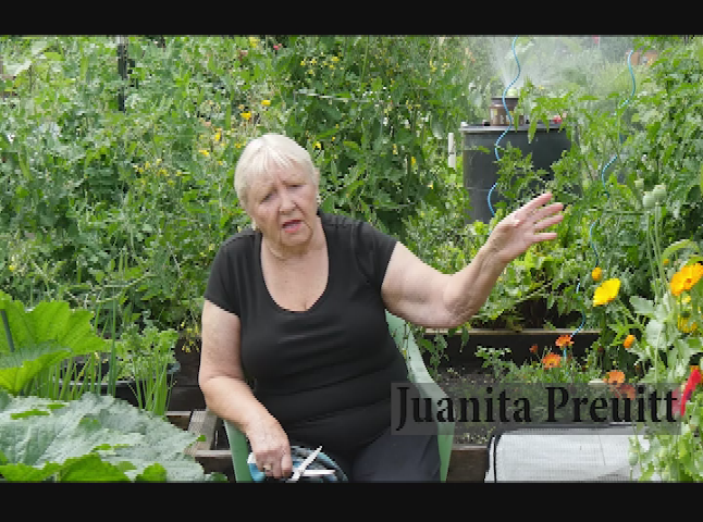 Thumbnail image for Pea Patch Gardener: Juanita Preuitt