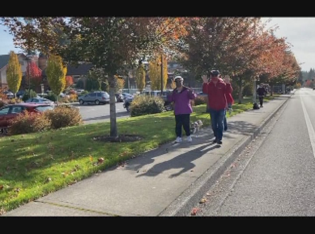 Thumbnail image for Panorama Pet Partners Halloween Parade