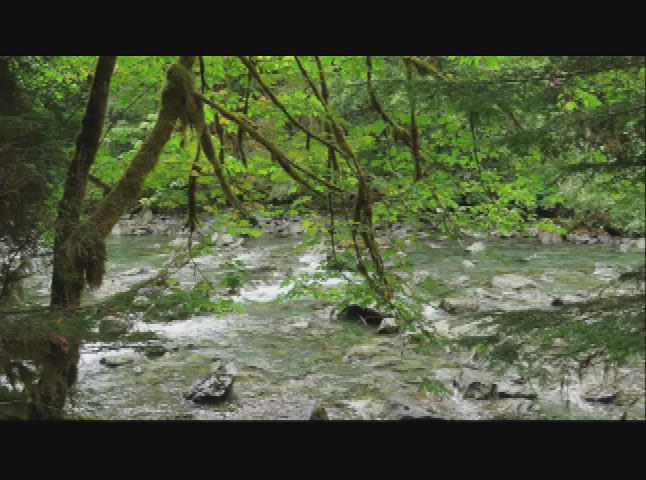 Thumbnail image for Staircase Trails Through the Camera Lens