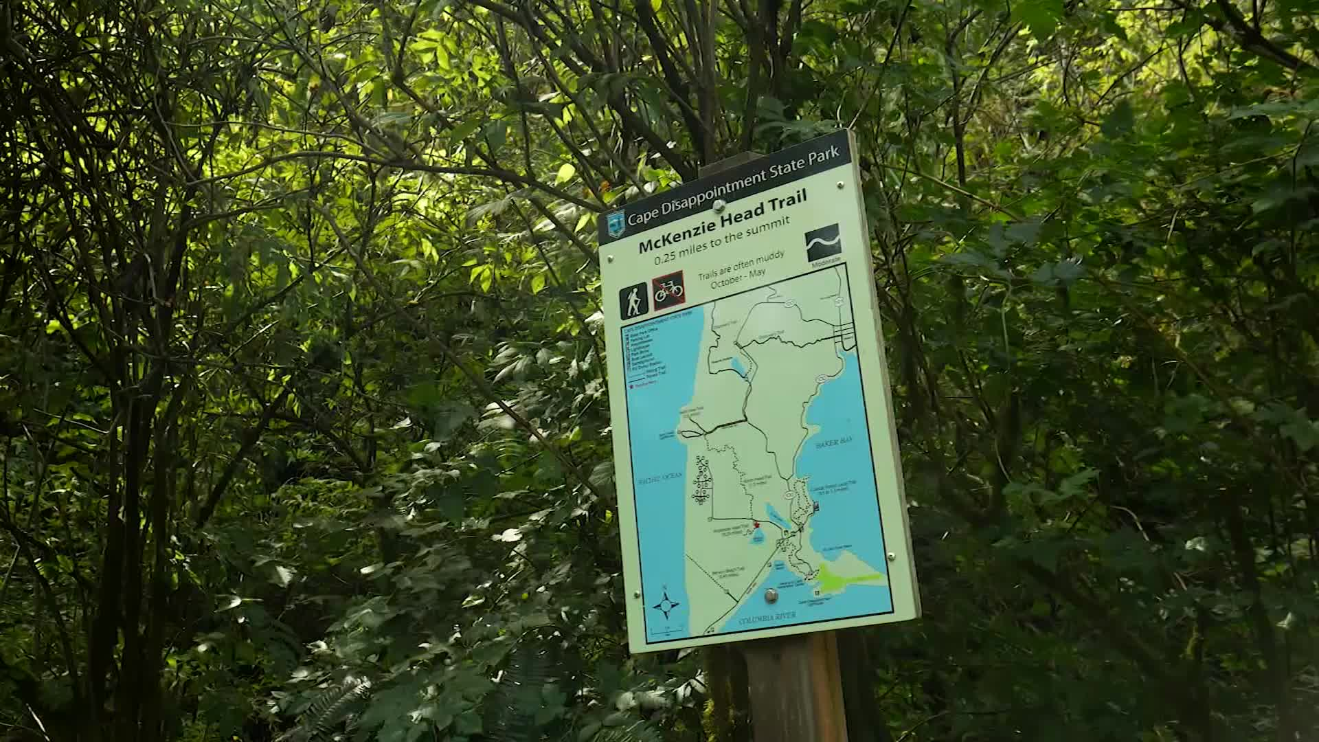 Thumbnail image for Cape Disappointment State Park