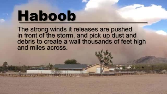 Thumbnail image for Weird Weather