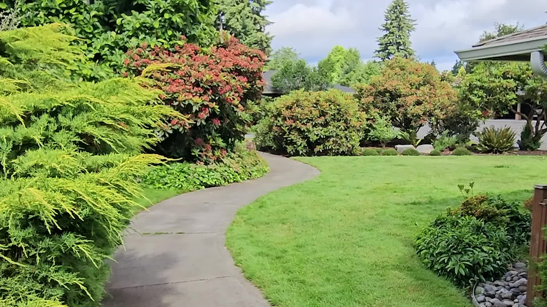 Thumbnail image for Panorama Coyote