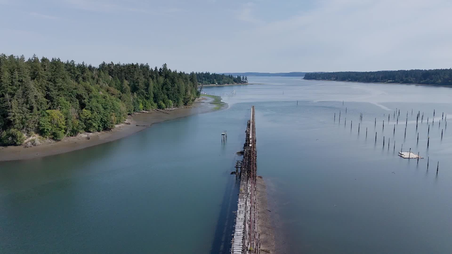Thumbnail image for Tour Woodard Bay: An Ecological Gem