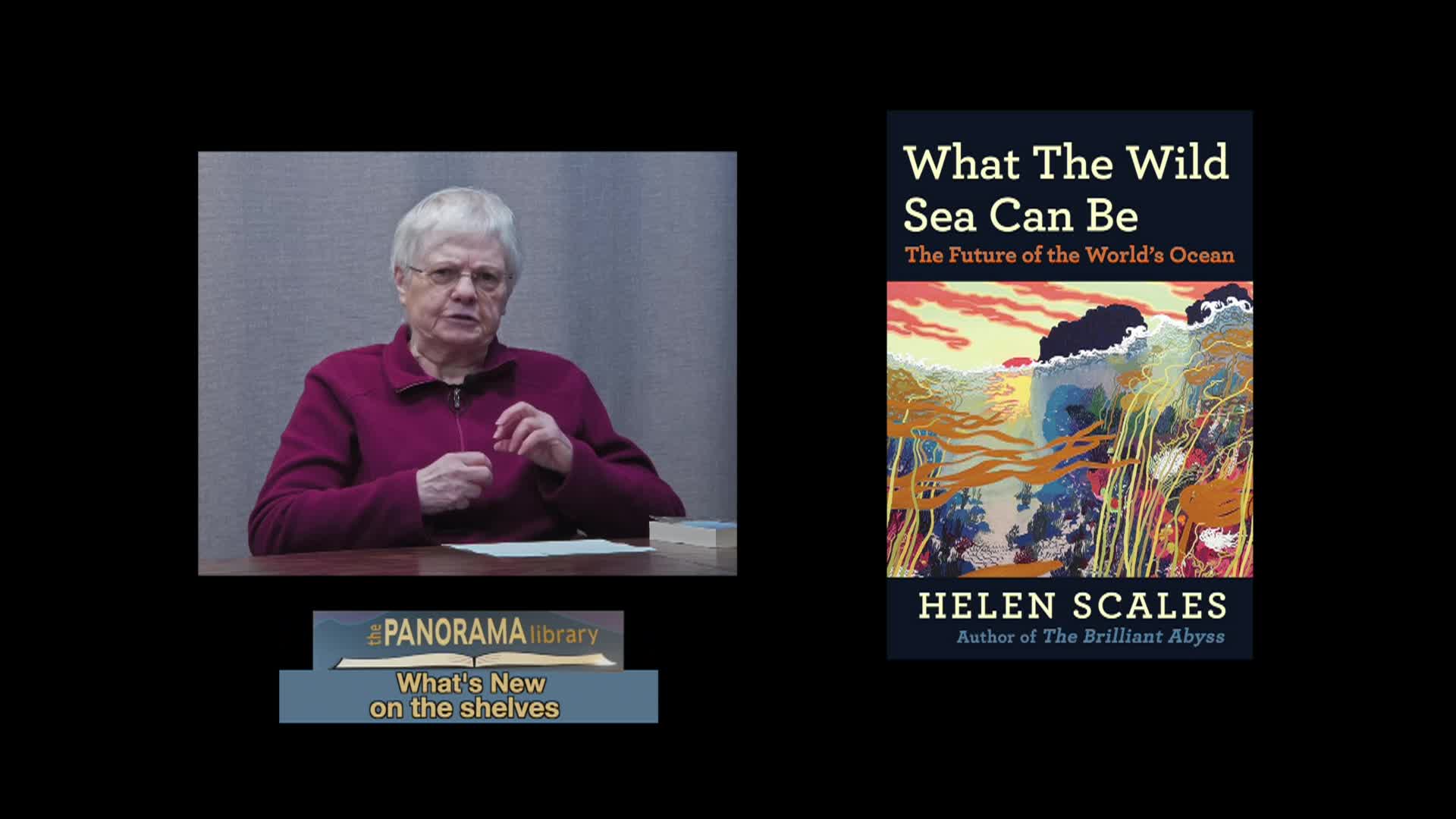 Thumbnail image for Whats New on the Book Shelf October 2024