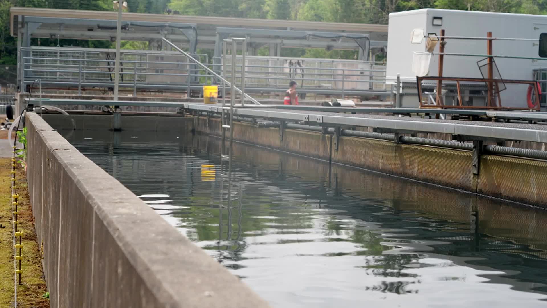 Thumbnail image for Managing Salmon Resources