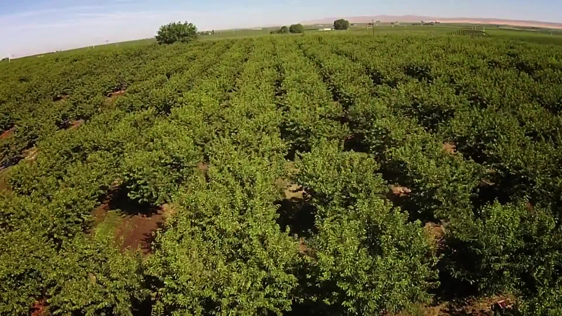 Thumbnail image for Finding Common Ground: Collaborative Leadership in WA State