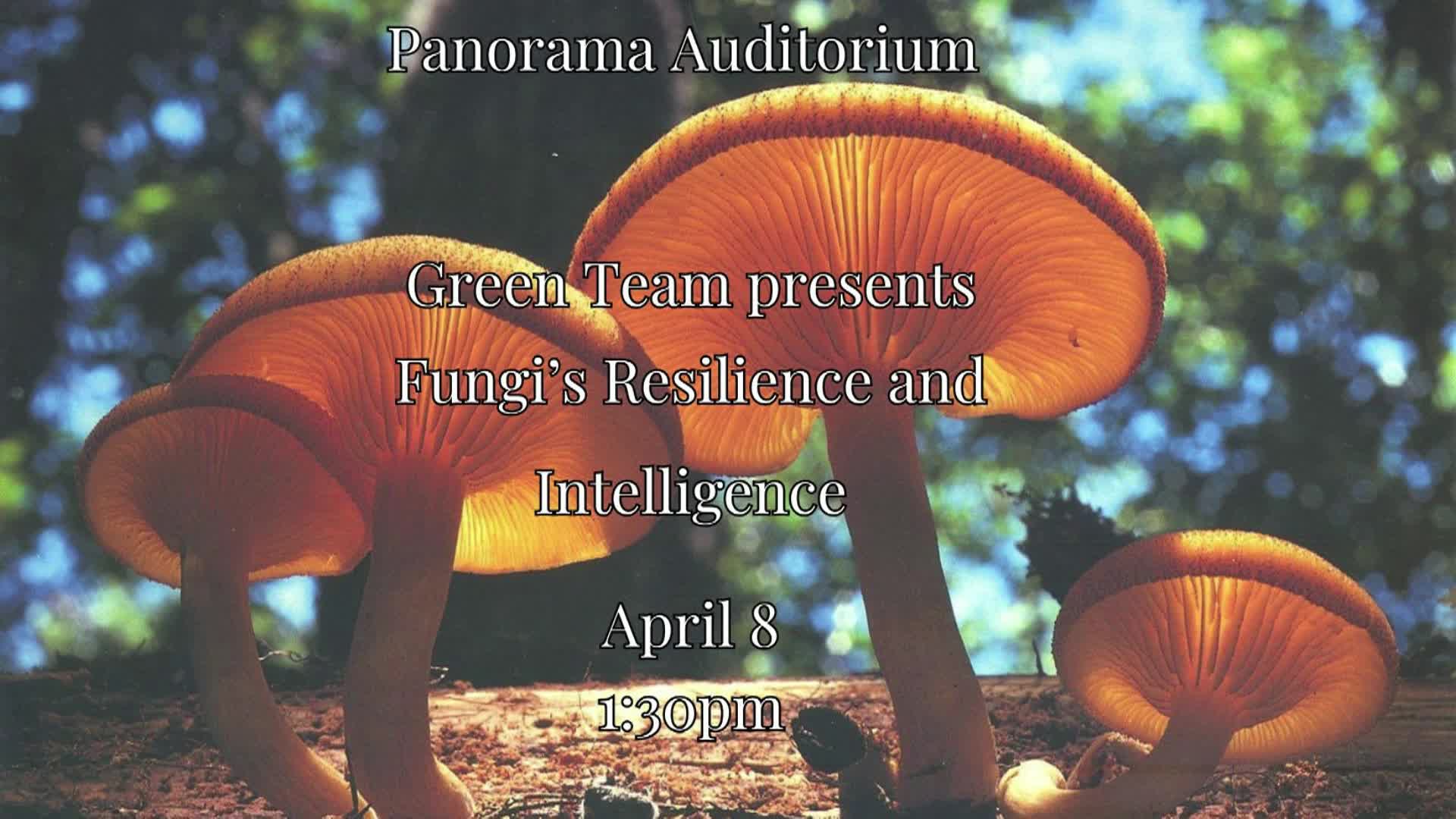 Thumbnail image for This week at the Auditorium: Second Week April