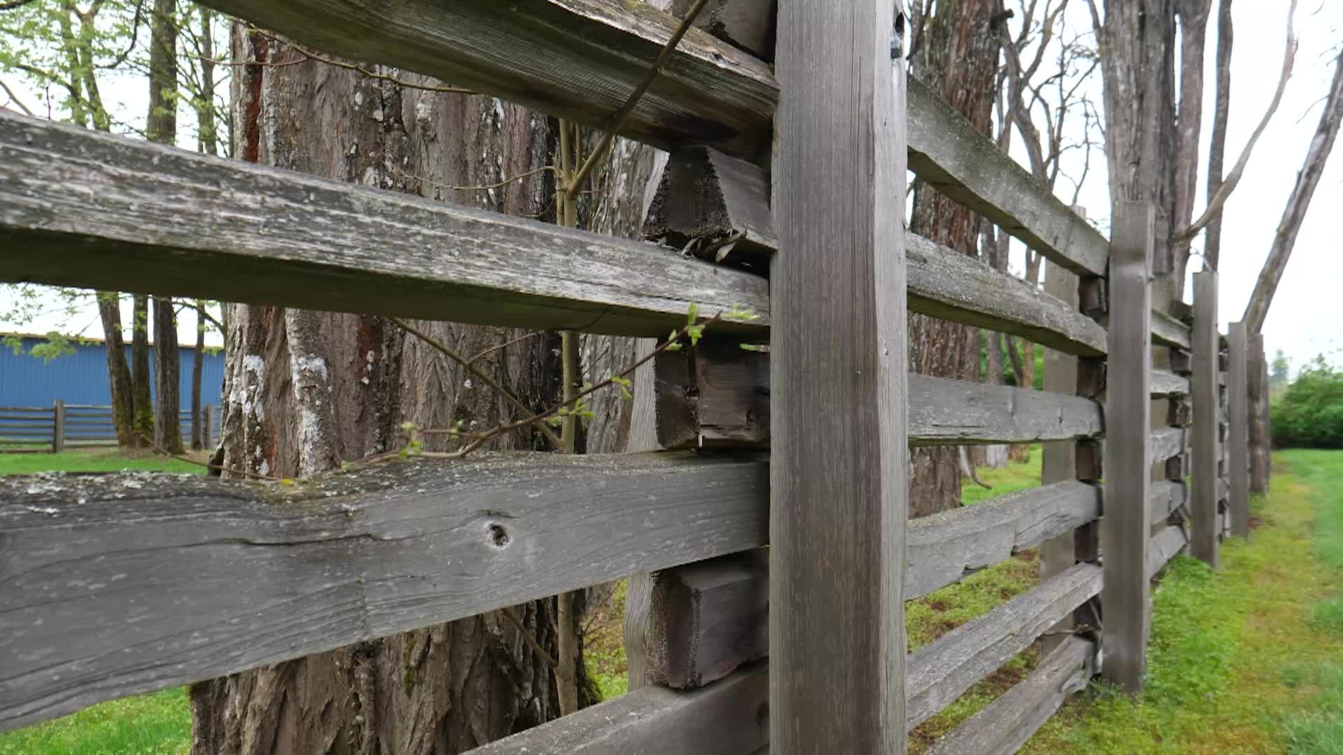 Thumbnail image for TVW: Jackson House State Park
