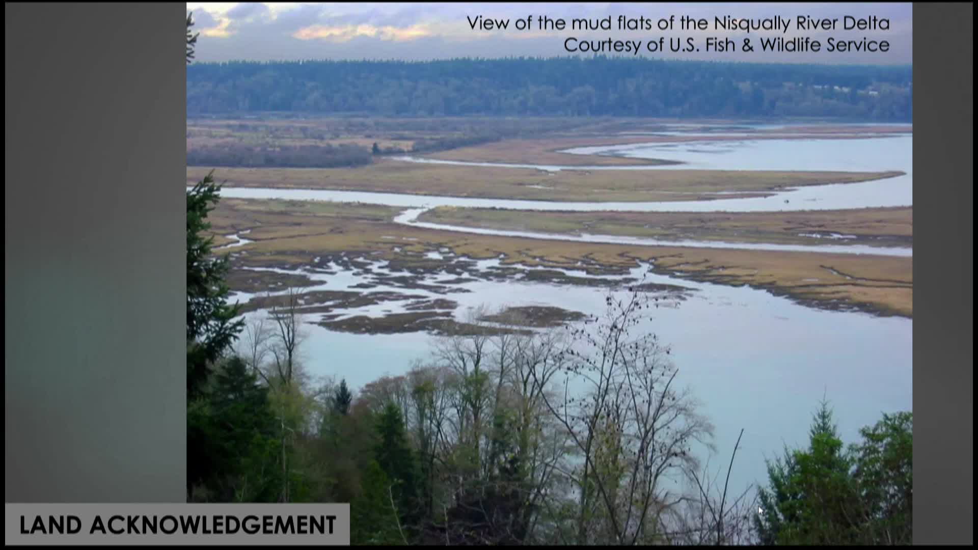 Thumbnail image for History Talks! The Fight for Gay and Lesbian Adoption Rights