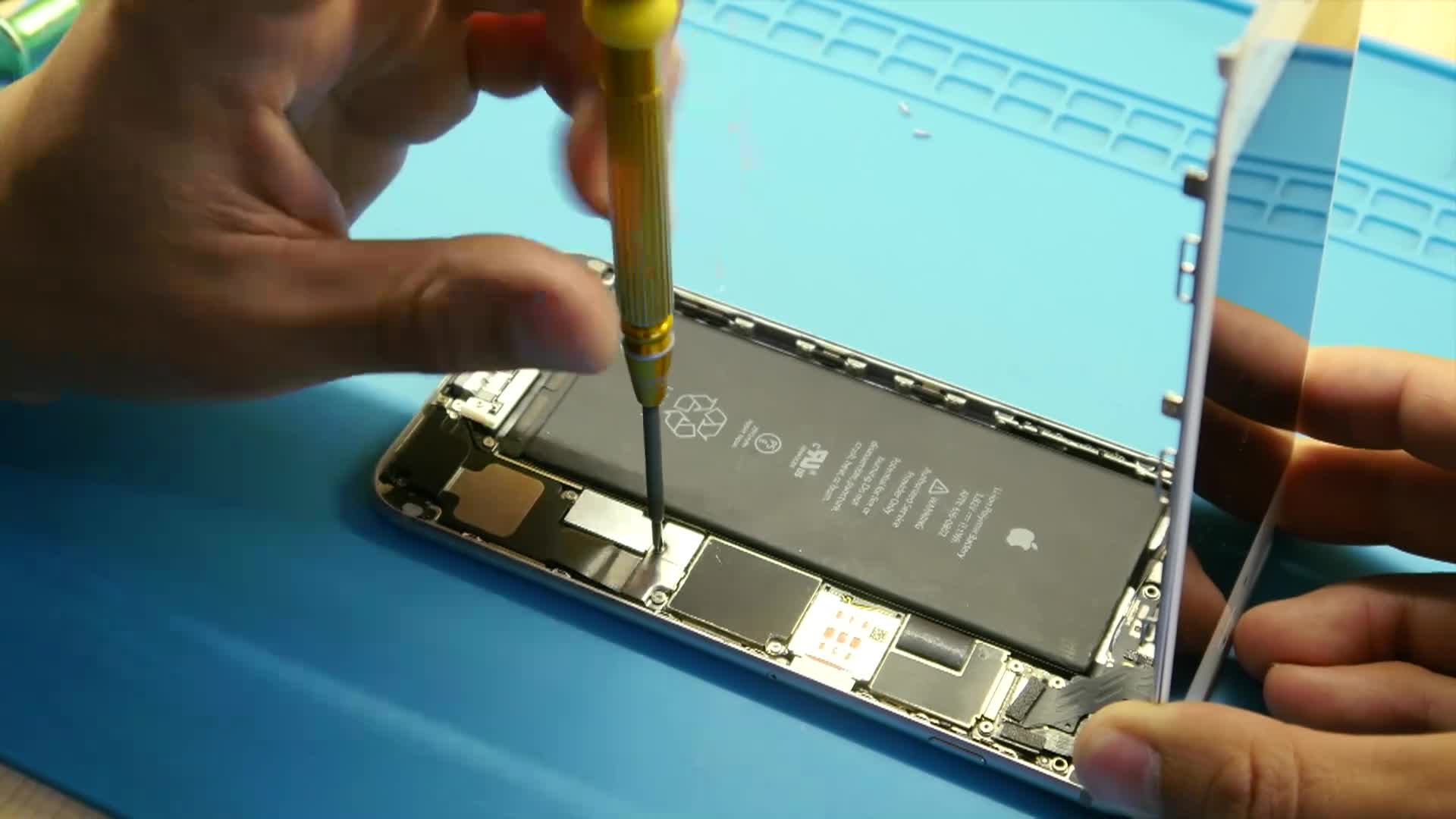 Thumbnail image for TVW Impact Recycling Business Accelerator Gears Up for 2025 Pitch Contest                        forMay24