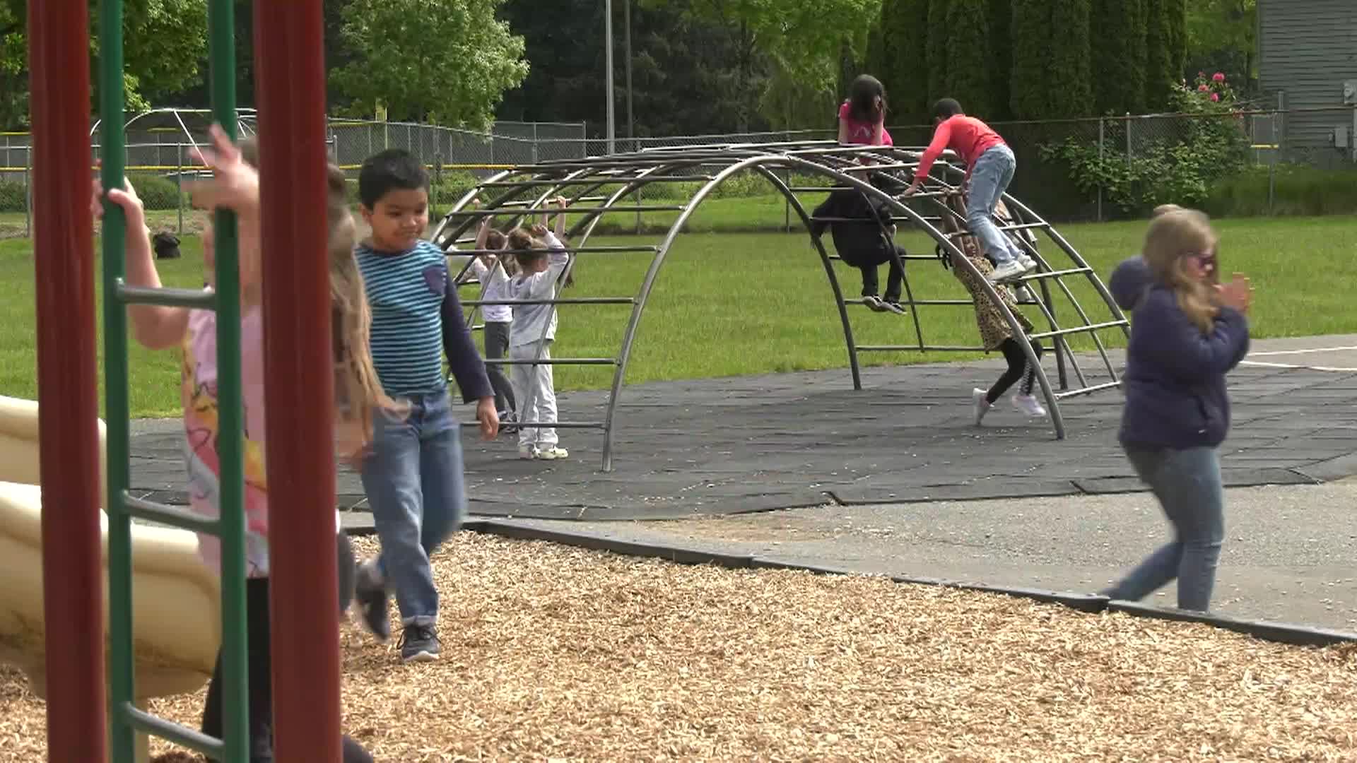 Thumbnail image for TVW The Impact - Special Ed. Pivot and the Tax Credit Vouchers Debate