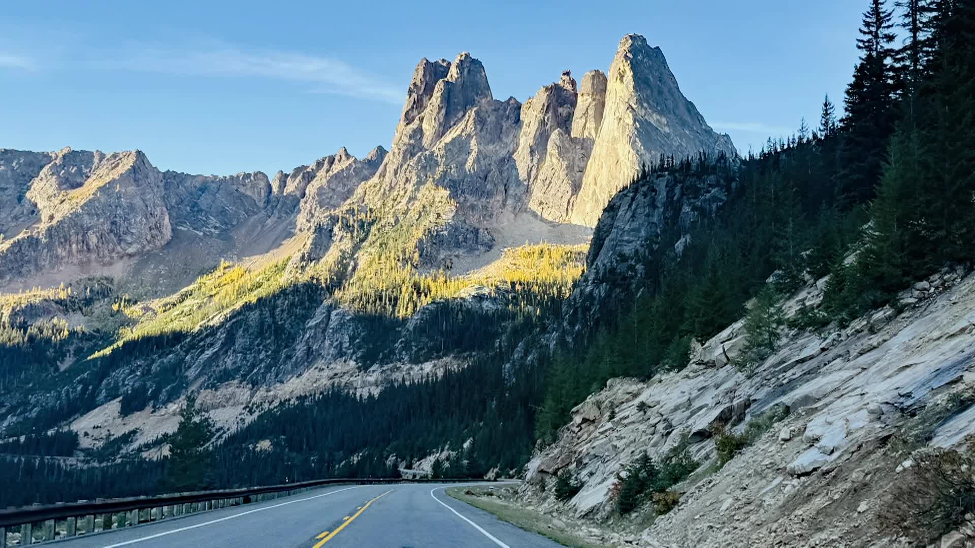 Thumbnail image for Larches of Washington