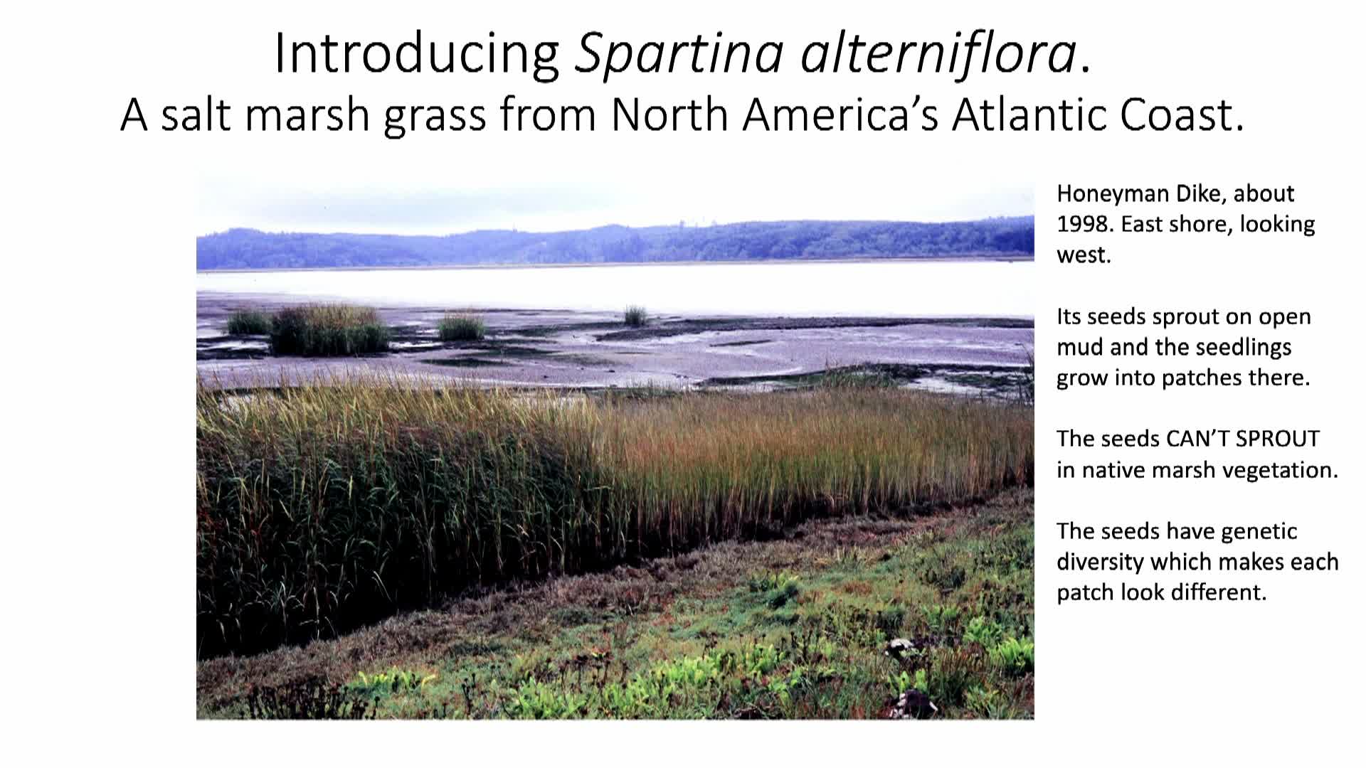 Thumbnail image for Book Review November 2025 - Presenter Dave Milne