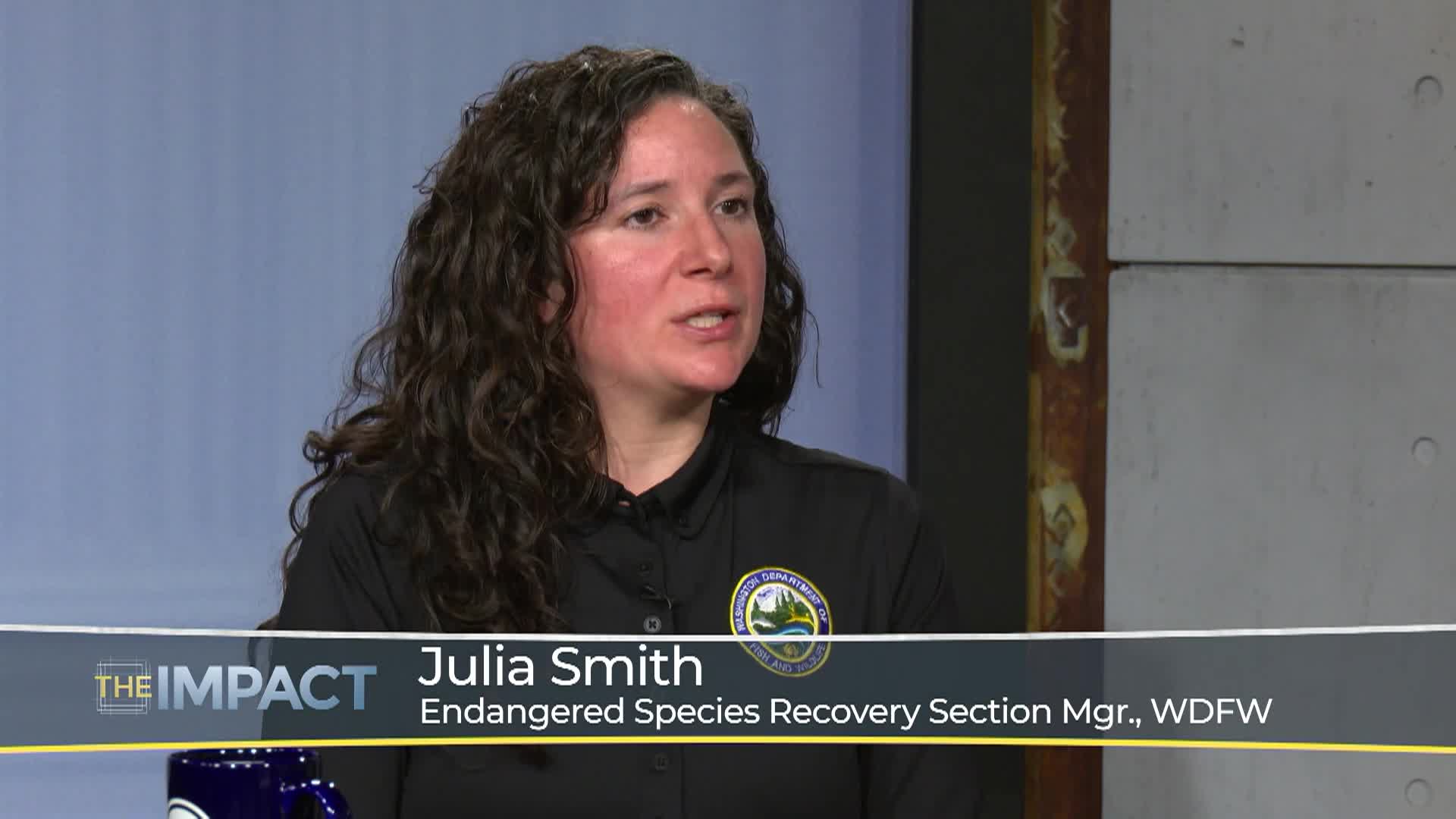 TVW The Impact -- Wolf Conflicts and Owl Removals