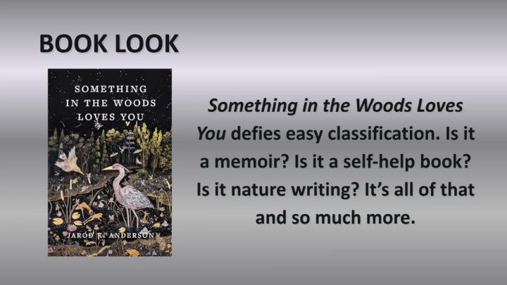 Thumbnail image for BOOK LOOK _ Something in the Woods Loves You