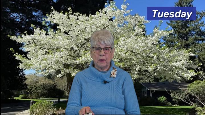 Thumbnail image for Activity Highlights April 19 - 25 2026