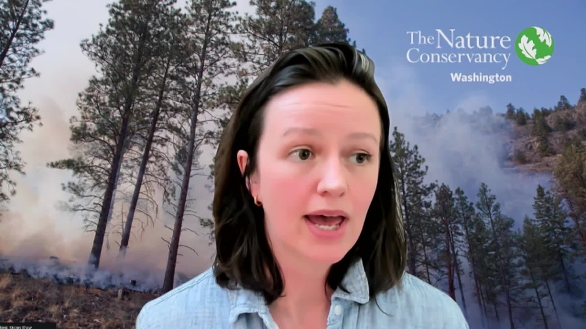 Thumbnail image for TVW The Impact - Wildfire Mitigation Funding Restored