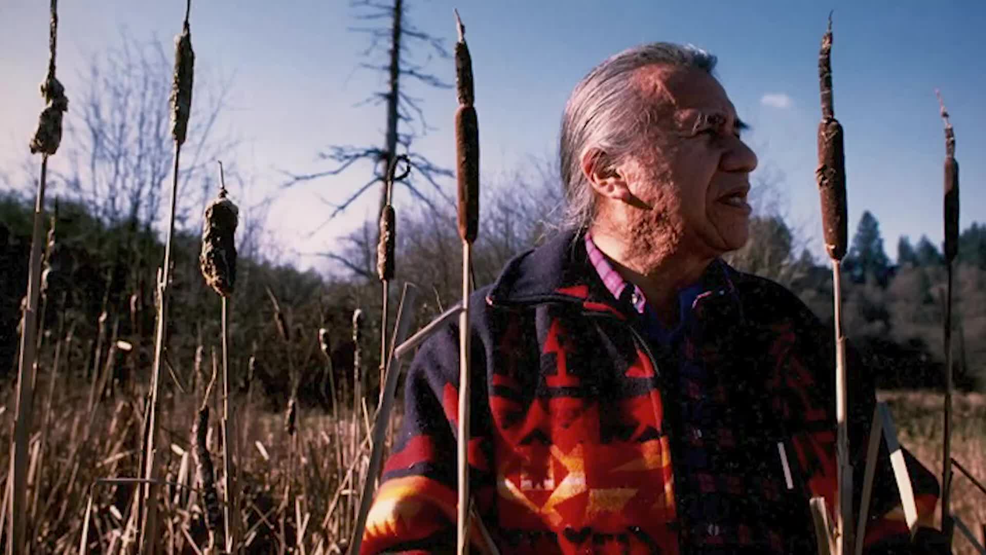 Thumbnail image for TVW Field Report - Billy Frank Jr. Statue