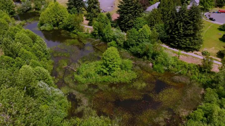 Thumbnail image for A Year Around Chambers Lake: Drone Meditation